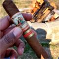 AJ Fernandez Bellas Artes Robusto 5 1/2 * 52