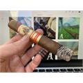 AJ Fernandez Bellas Artes Robusto 5 1/2 * 52