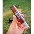 Joya Black Doble Robusto 5  * 56