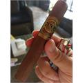 Casa Magna Jalapa Claro Robusto 5 1/2 * 54