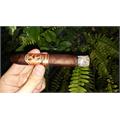 Matilde Quadrata Torpedo 6  * 52