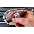 Liga Privada No. 9 Flying Pig 4  * 60