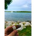 Liga Privada T52 Flying Pig 4  * 60