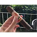 Hoyo La Amistad Gigante 6  * 60