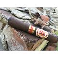 Hoyo La Amistad Gigante 6  * 60
