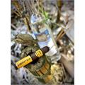 Aging Room Solera Sun Grown Festivo 4 3/4 * 52