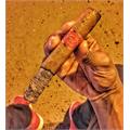 Iconic Brand Assortment, 9-Cigar Sampler