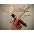 Avo Syncro Nicaragua Fogata Robusto 5  * 50