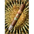 San Cristobal Quintessence Epicure 6  * 52