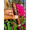 Plasencia Alma Fuerte Sixto II Hexagon 6  * 60