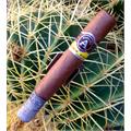 Aladino Toro 6  * 50