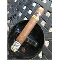 Aladino Gordo 6 1/2 * 60