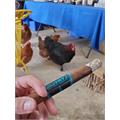 Camacho Ecuador BXP Toro 6  * 50