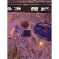 Padron 1964 Anniversary Presidente Maduro 6  * 50