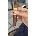 La Aurora 1903 Cameroon Robusto 5  * 50