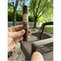 My Father The Judge Toro 6  * 56