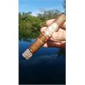 My Father The Judge Toro 6  * 56