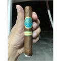 H. Upmann by AJ Fernandez Robusto 5  * 52