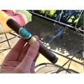 H. Upmann by AJ Fernandez Toro 6  * 54