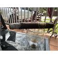 The Tabernacle Toro 6  * 52