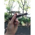 The Tabernacle Toro 6  * 52