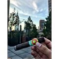 Punch Gran Puro Nicaragua Robusto 4 7/8 * 48