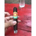 Punch Gran Puro Nicaragua Robusto 4 7/8 * 48