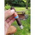 Punch Gran Puro Nicaragua Robusto 4 7/8 * 48