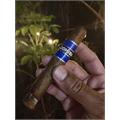 Cohiba Blue Robusto 5 1/2 * 50
