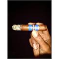 Cohiba Blue Robusto 5 1/2 * 50