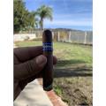 Cohiba Blue Rothschild 4 1/2 * 50