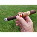 Enclave Broadleaf Churchill 7  * 52