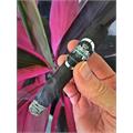 Macanudo Inspirado Black Robusto 4 7/8 * 48