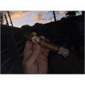 La Gloria Cubana Coleccion Reserva Robusto 5 1/2 * 54
