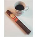 Romeo y Julieta Crafted by AJ Fernandez Toro 6  * 52