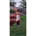 Plasencia Reserva Original Robusto 4 3/4 * 52