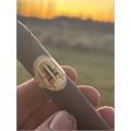 Caldwell The King is Dead Toro 6  * 54