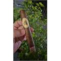 Caldwell The King is Dead Toro 6  * 54