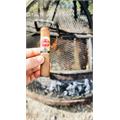 Eiroa The First 20 Years Colorado Prensado 6  * 46