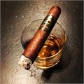 Davidoff Winston Churchill Late Hour Robusto  5  * 52