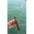 Davidoff Nicaragua Box Pressed Robusto 5  * 48