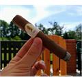 Davidoff Winston Churchill Robusto 5 1/2 * 52