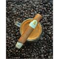Davidoff Winston Churchill Robusto 5 1/2 * 52