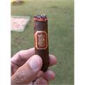 Liga Undercrown Sungrown Belicoso 6  * 52