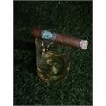FSG by Drew Estate Robusto 5  * 54