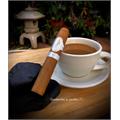 Davidoff Aniversario Special R 4 7/8 * 50