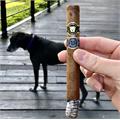 Guardian of the Farm Apollo 6  * 44