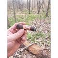 The Wise Man Maduro Robusto 5 1/2 * 50