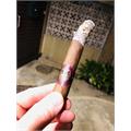Archetype Axis Mundi Toro 6  * 52