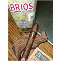 Archetype Axis Mundi Toro 6  * 52